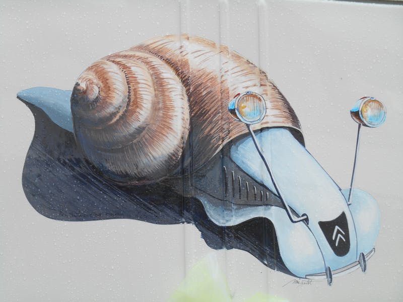 Tin Snail